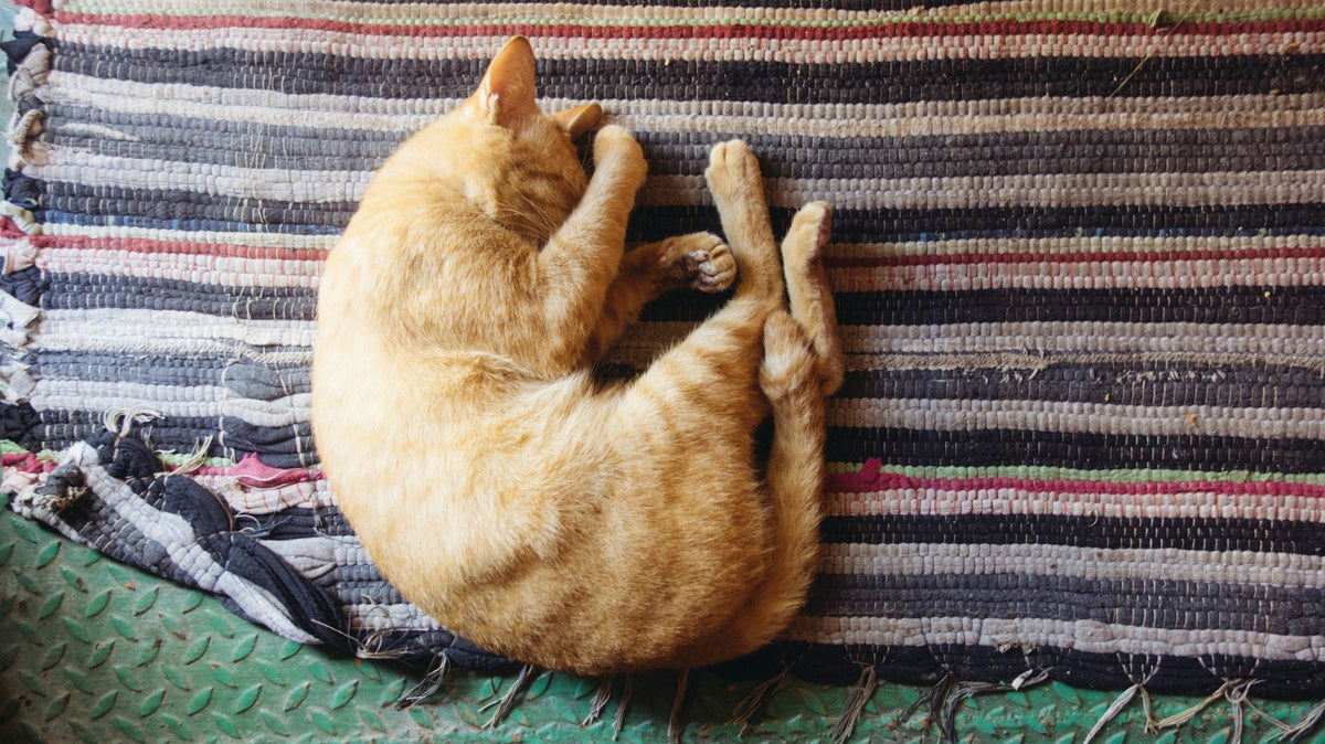 An adult ginger tabby cat stretched out asleep on a striped woven mat.