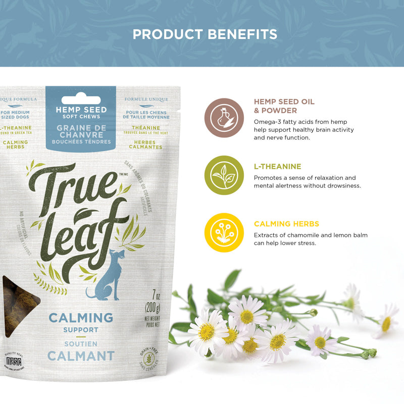 Calming Support soft chews ingredient info panel: L-theanine, chamomile, lemon balm and omega-3 oils