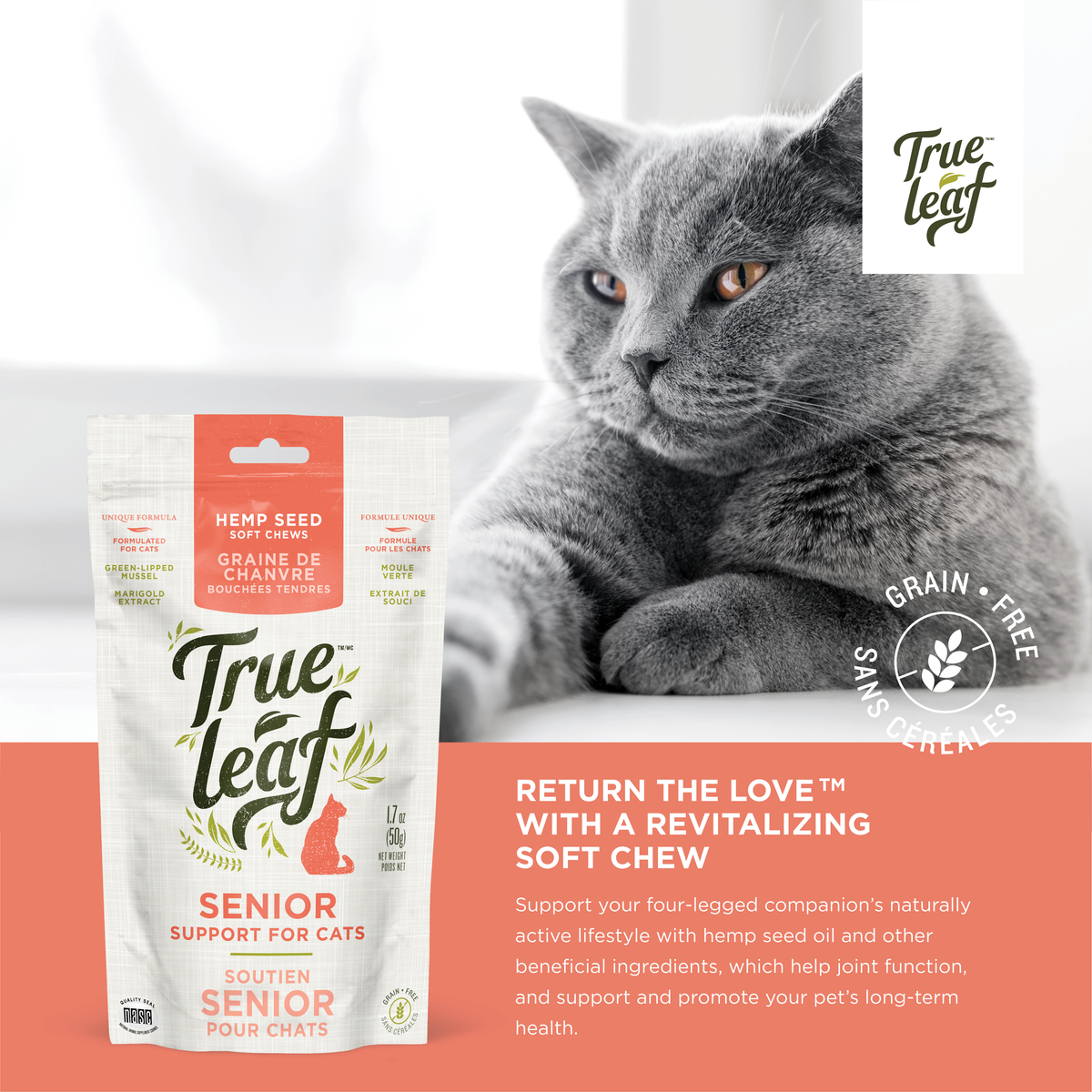 Senior Support chews for cats info panel