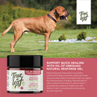 Support skin healing in pets with ingredients like manuka honey, rosehip oil, vitamin A, and vitamin E