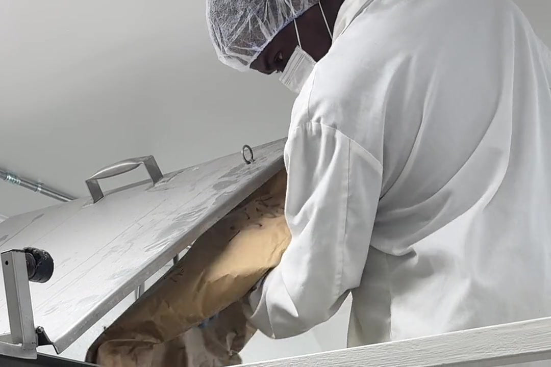 A Trueleaf team member in a hairnet, mask and lab coat tipping a bag of dry ingredient into the mixer